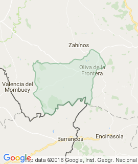 Oliva de la Frontera