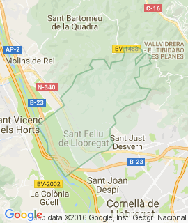 Sant Feliu de Llobregat