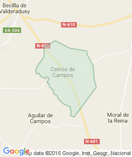 Ceinos de Campos