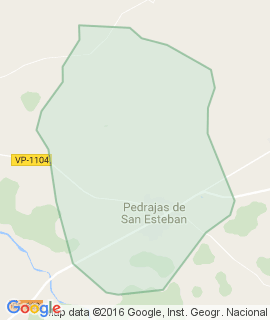 Pedrajas de San Esteban