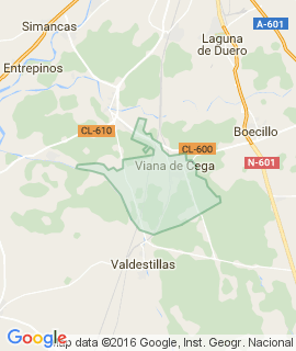 Viana de Cega