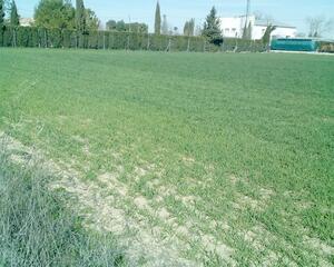 Terreno en Carretera Ayora, Albacete