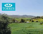Parcela buenas vistas en Arroyo Coche, Almogía