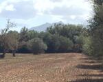 Terreno buenas vistas en Son Valls, Felanitx