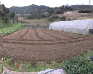 Terreny en Riera Capaspre, Calella