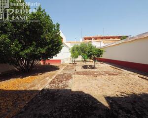 Casa con jardin en Don Pedro Bustos, Socuéllamos
