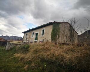 Casa con jardin en Sopeñano, Vallejo de Mena