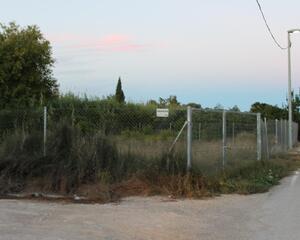 Terreny en La Raya, La Albatalia, Norte Murcia