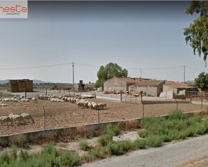 Casa con jardin en Purias, Lorca