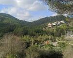Chalet buenas vistas en Olivella
