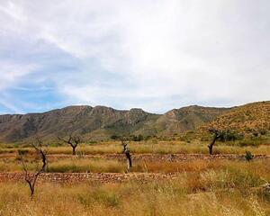 Terreno con vistas en Hondon de Las Nieves
