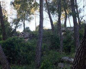 Terreny amb vistes en Selva Negra, Vallirana