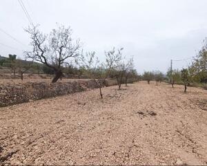 Terreno en Los Pinos, Los Pozos, Centro Hondon de Los Frailes