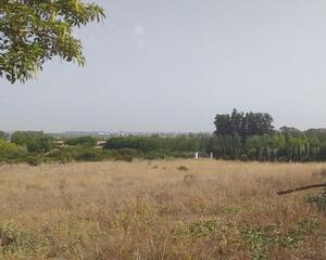 Terreno con vistas en Pedanias, Jerez de la Frontera
