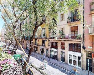 Pis en Santa Caterina i la Ribera, Ciutat Vella Barcelona