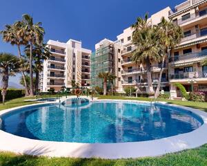 Apartamento con piscina en Playa, Piles